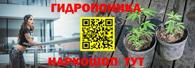 Альфа ПВП Волжск