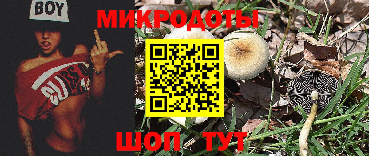 Галлюциногенные грибы Cubensis  Галлюциногенные грибы MAGIC MUSHROOMS  Вход с VPN  Белогорск 